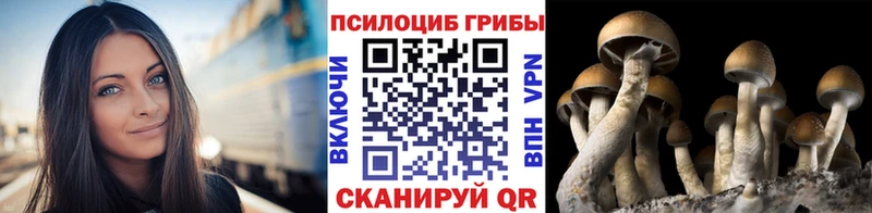 Галлюциногенные грибы Cubensis  купить   KRAKEN маркетплейс  Новосиль 