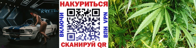 blacksprut   Новосиль  Бошки Шишки семена 